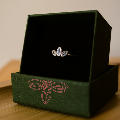 ANEL FLOR DE LÓTUS NAVETE